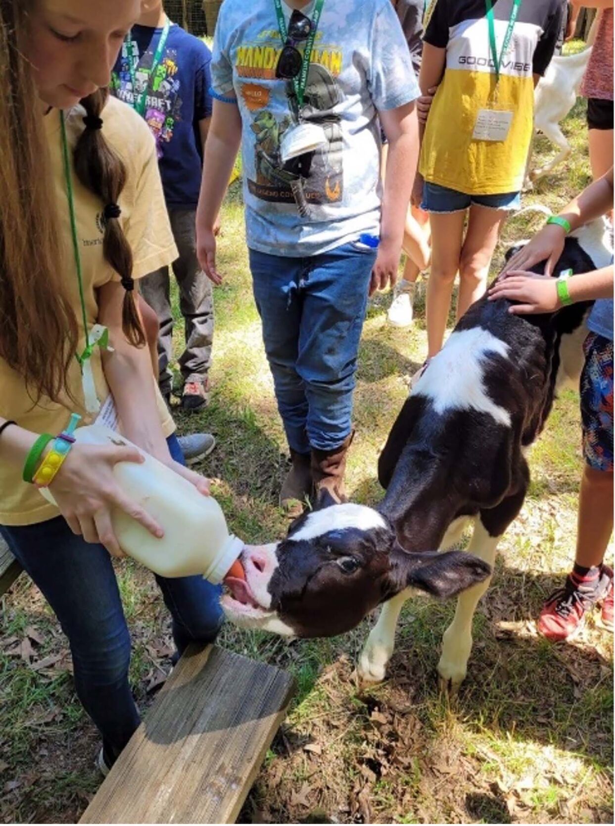 4-H